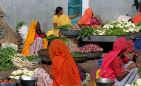 Vegetable market; Kuchaman, Rajasthan, India