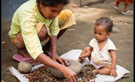 Sorting coffee in Lombok