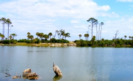 Beaufort, South Carolina