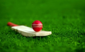 Image of a cricket ball on a bat on the grass by GEMINI PRO STUDIO via Canva