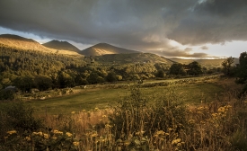 Mourne Mountains, Northern Ireland by wirestock via freepik.com