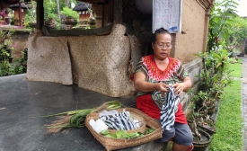 A house in Bali