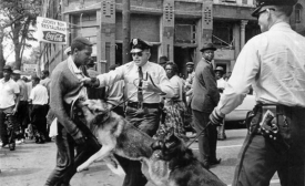 The iconic 1963 photo "Birmingham campaign dogs" by Bill Hudson, of the Associated Press 