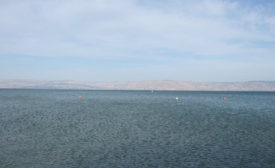 Lake Kineret, Israel Taken by the author in 2008.