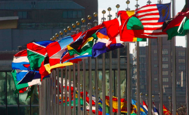 http://esango.un.org/civilsociety