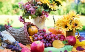 Cornucopia, by Jill111