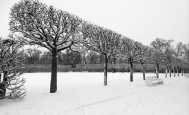Winter, by Nicolle Shekin