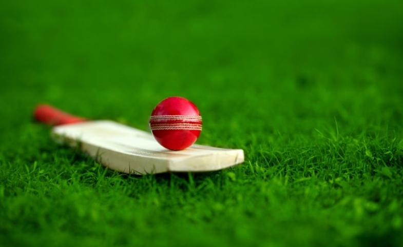 Image of a cricket ball on a bat on the grass by GEMINI PRO STUDIO via Canva
