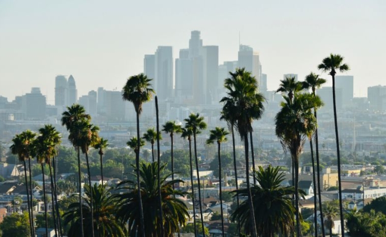 Image of palm trees against the backdrop of a cityscape by Nodar Chernishev via Canva