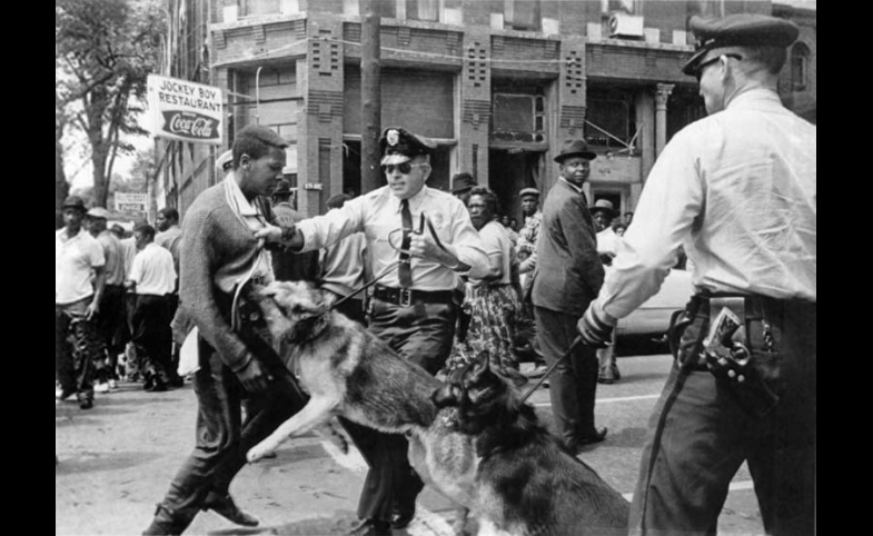 The iconic 1963 photo "Birmingham campaign dogs" by Bill Hudson, of the Associated Press 