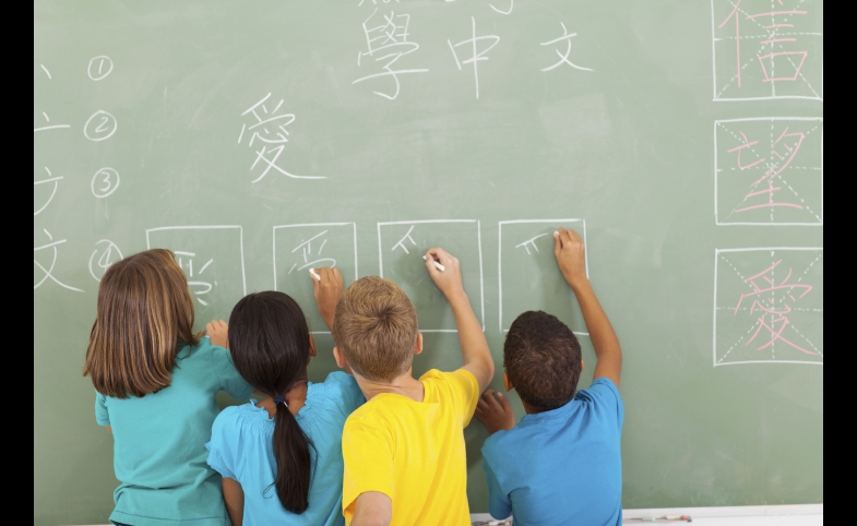 Students learn the Chinese language