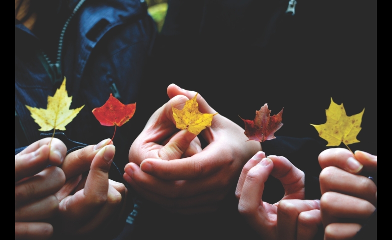 Autumn Leaves, by Providence Doucet