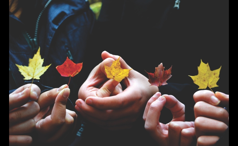 Autumn Leaves, by Providence Doucet