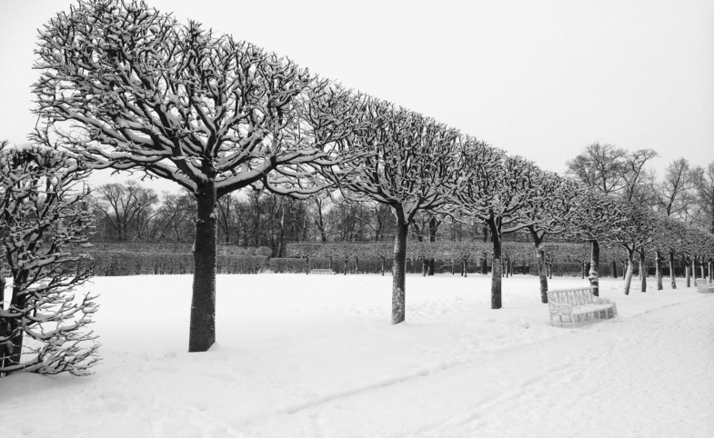Winter, by Nicolle Shekin