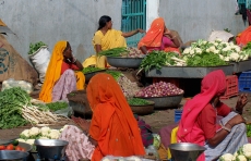 Photo reprinted courtesy John Haslam, via Flickr https://flic.kr/p/673g2Q Vegetable market; Kuchaman, Rajasthan, India