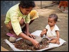 Sorting coffee in Lombok