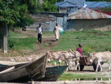Rusinga Island