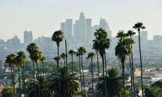 Image of palm trees against the backdrop of a cityscape by Nodar Chernishev via Canva