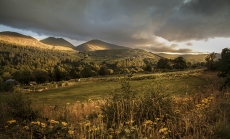 Mourne Mountains, Northern Ireland by wirestock via freepik.com