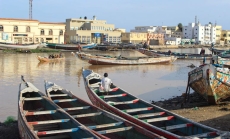 Image courtesy of the author. Author's note: Fishermen in Senegal are among the small traders being negatively impacted by large French transnational companies within the country, which contributes to the negative sentiment towards France.