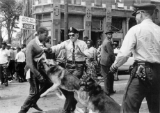 The iconic 1963 photo "Birmingham campaign dogs" by Bill Hudson, of the Associated Press 