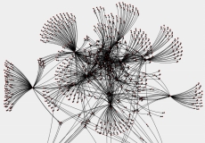 Networks