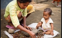 Sorting coffee in Lombok