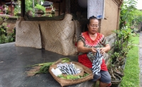 A house in Bali